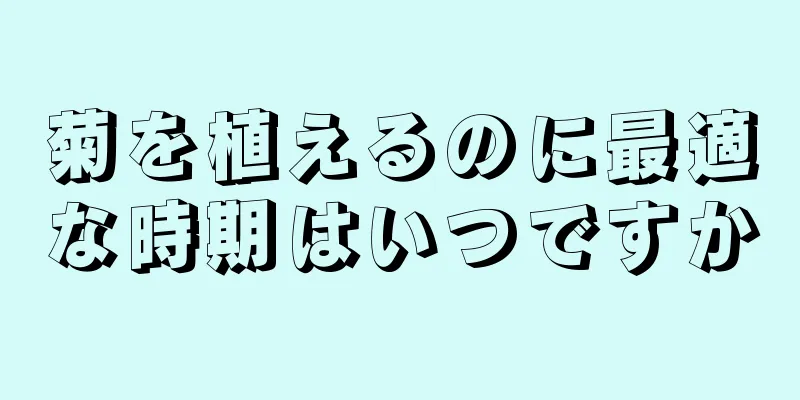 菊を植えるのに最適な時期はいつですか