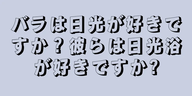 バラは日光が好きですか？彼らは日光浴が好きですか?