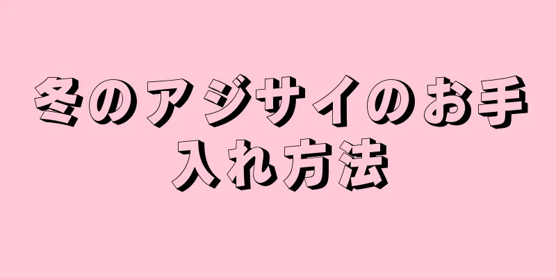 冬のアジサイのお手入れ方法