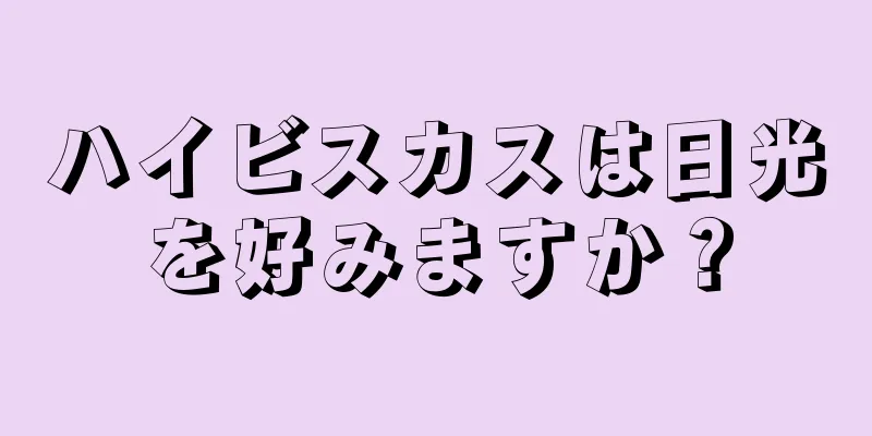 ハイビスカスは日光を好みますか？