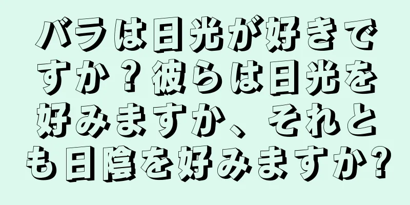 バラは日光が好きですか？彼らは日光を好みますか、それとも日陰を好みますか?