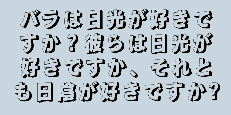 バラは日光が好きですか？彼らは日光が好きですか、それとも日陰が好きですか?