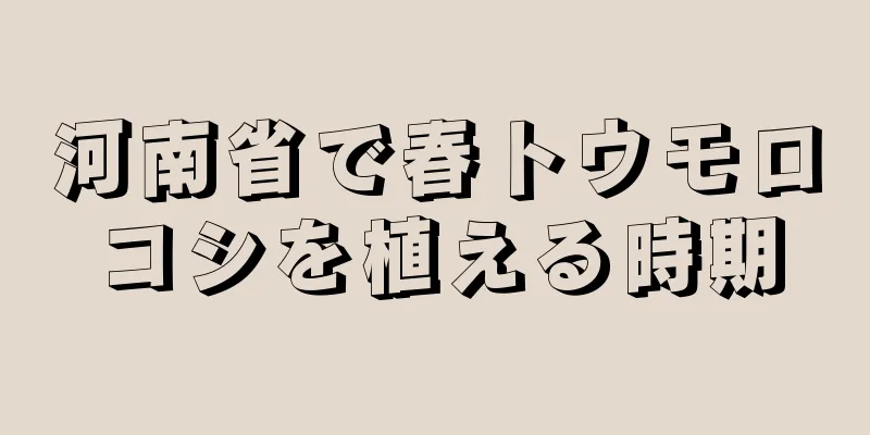 河南省で春トウモロコシを植える時期