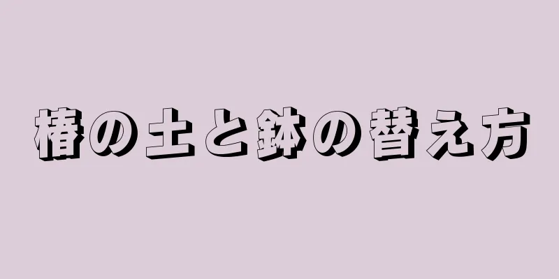 椿の土と鉢の替え方