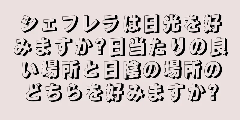 シェフレラは日光を好みますか?日当たりの良い場所と日陰の場所のどちらを好みますか?