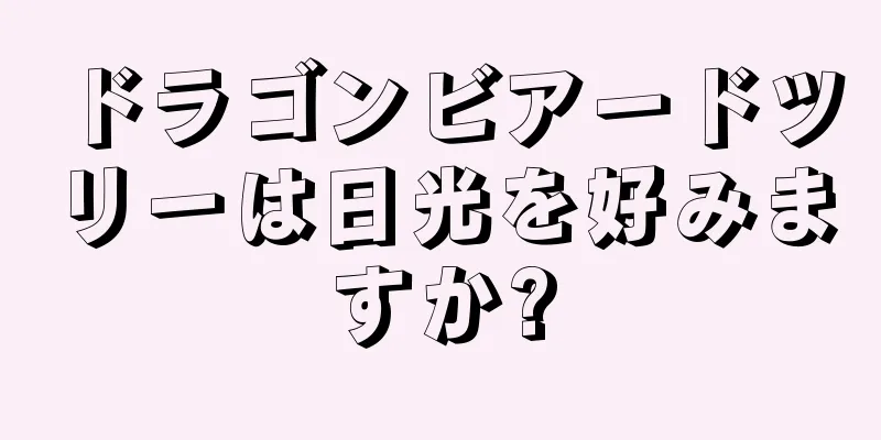 ドラゴンビアードツリーは日光を好みますか?