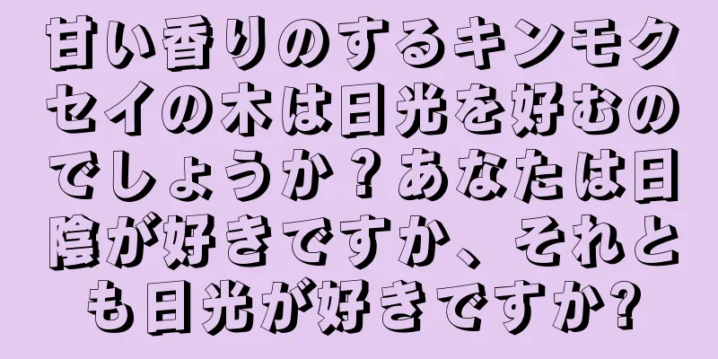 甘い香りのするキンモクセイの木は日光を好むのでしょうか？あなたは日陰が好きですか、それとも日光が好きですか?