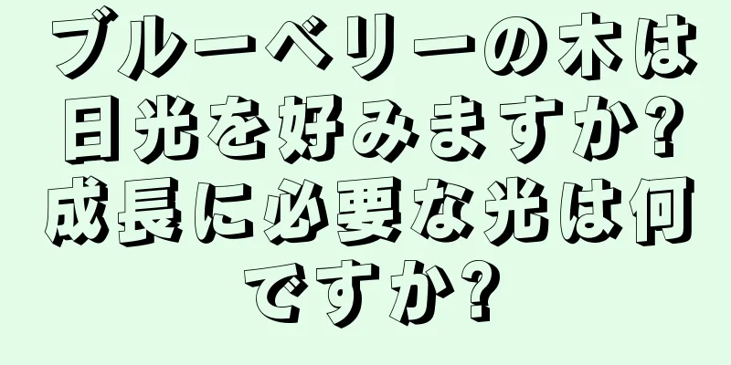 ブルーベリーの木は日光を好みますか?成長に必要な光は何ですか?