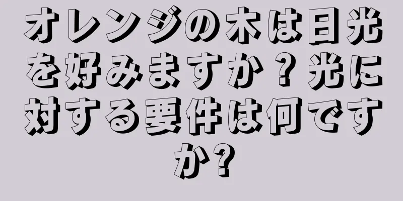 オレンジの木は日光を好みますか？光に対する要件は何ですか?