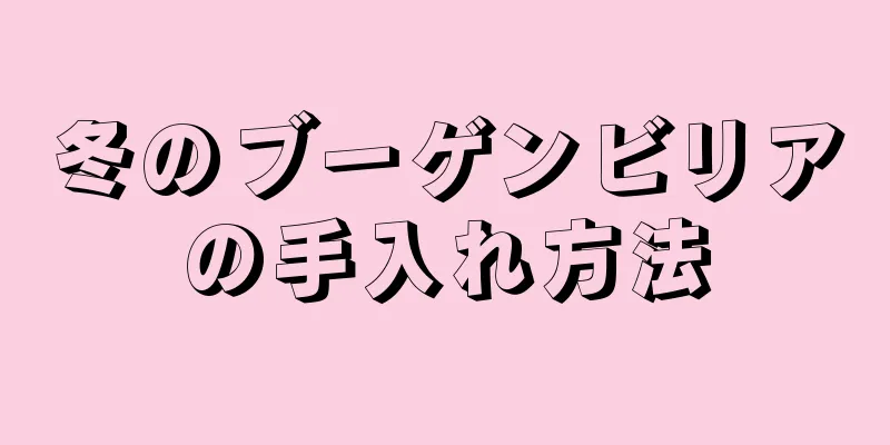 冬のブーゲンビリアの手入れ方法