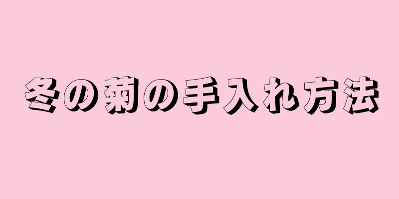 冬の菊の手入れ方法