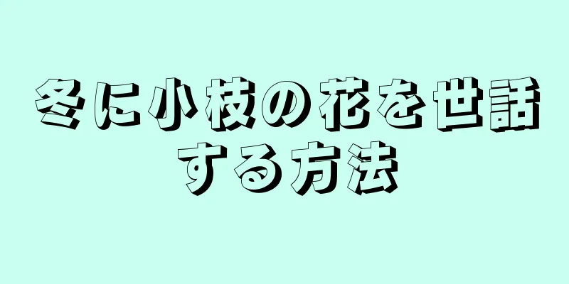 冬に小枝の花を世話する方法