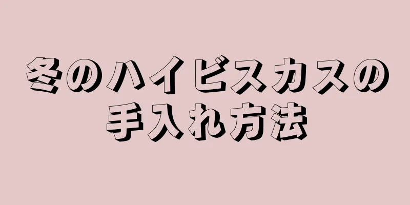 冬のハイビスカスの手入れ方法