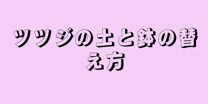ツツジの土と鉢の替え方