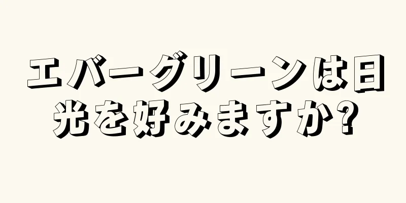 エバーグリーンは日光を好みますか?