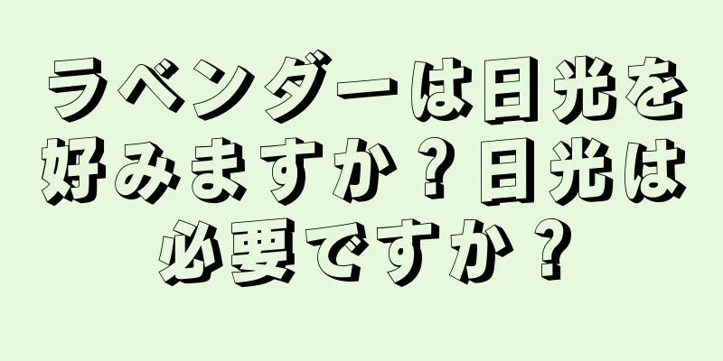 ラベンダーは日光を好みますか？日光は必要ですか？