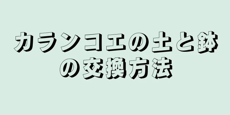 カランコエの土と鉢の交換方法