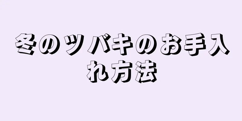 冬のツバキのお手入れ方法