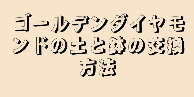 ゴールデンダイヤモンドの土と鉢の交換方法