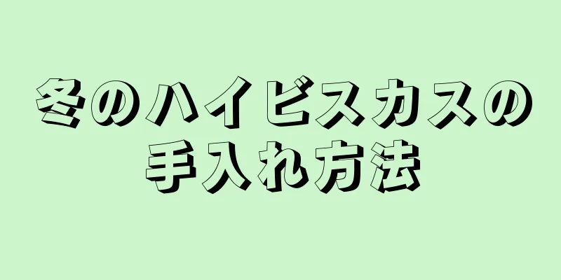 冬のハイビスカスの手入れ方法