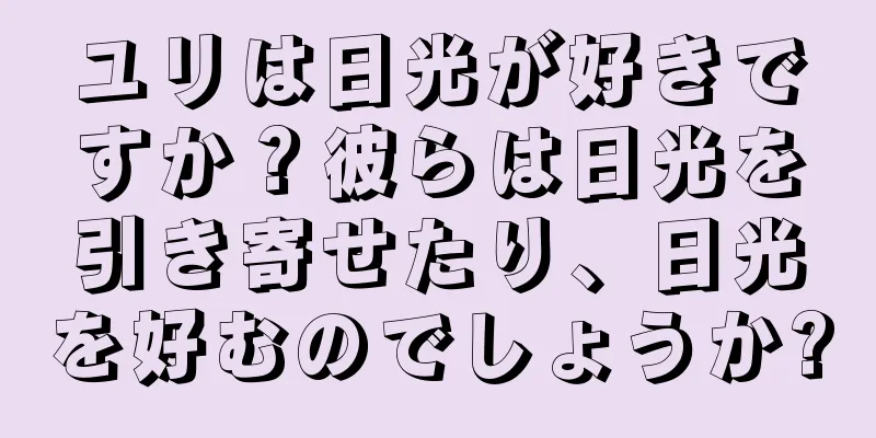 ユリは日光が好きですか？彼らは日光を引き寄せたり、日光を好むのでしょうか?