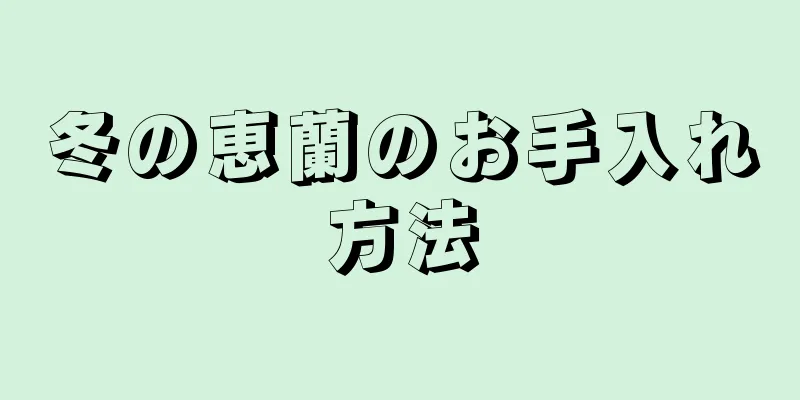 冬の恵蘭のお手入れ方法