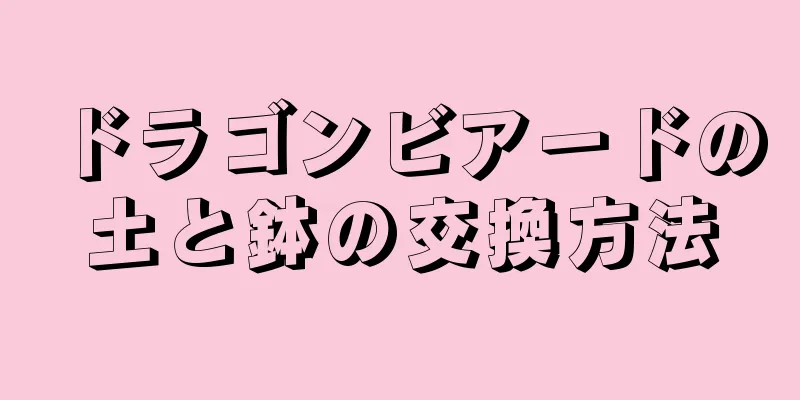 ドラゴンビアードの土と鉢の交換方法