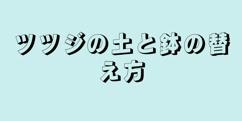 ツツジの土と鉢の替え方
