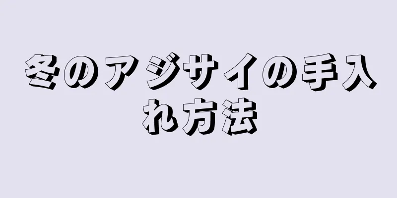 冬のアジサイの手入れ方法