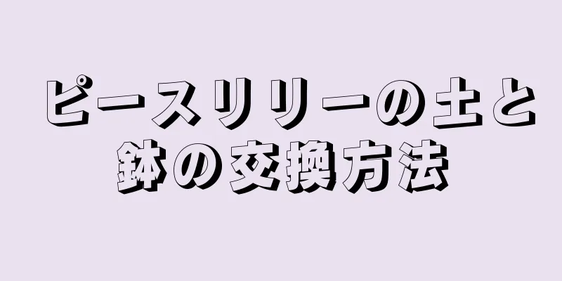 ピースリリーの土と鉢の交換方法