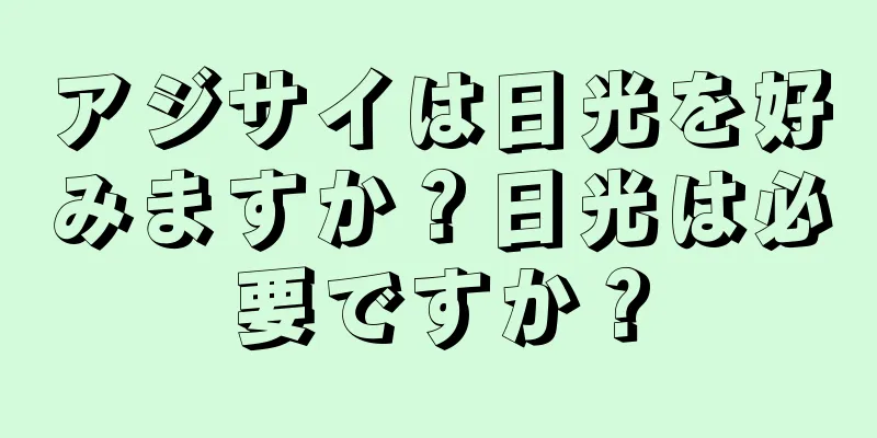 アジサイは日光を好みますか？日光は必要ですか？