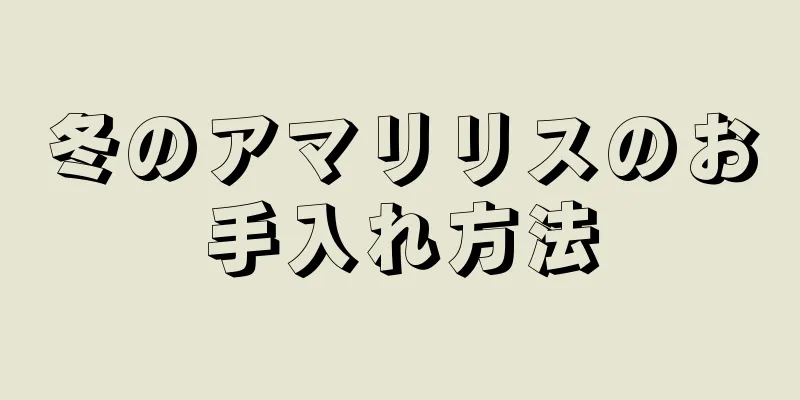 冬のアマリリスのお手入れ方法