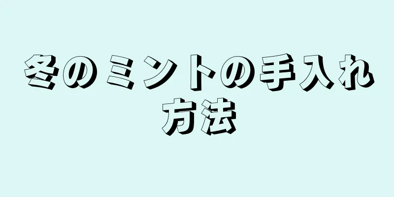 冬のミントの手入れ方法