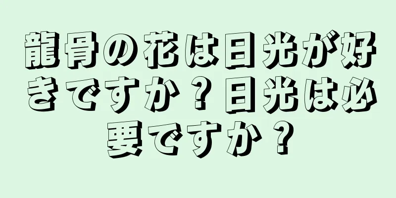 龍骨の花は日光が好きですか？日光は必要ですか？