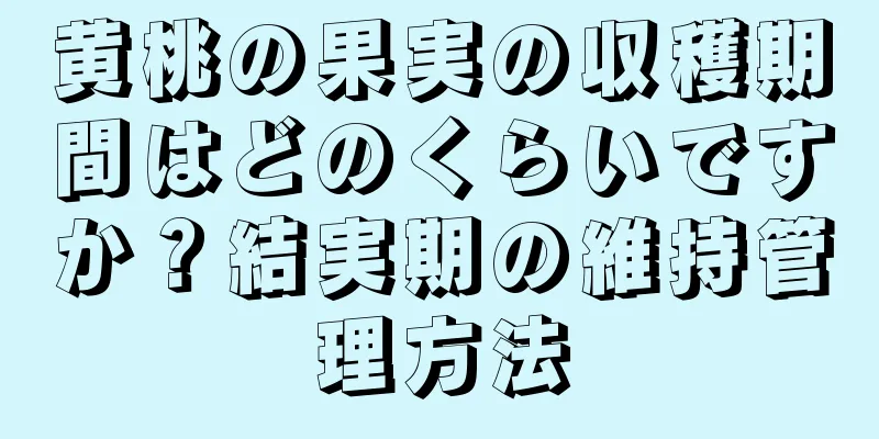 黄桃の果実の収穫期間はどのくらいですか？結実期の維持管理方法