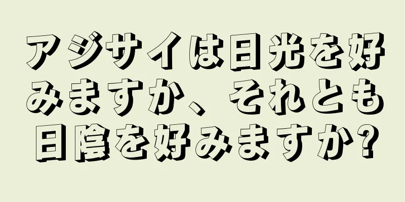 アジサイは日光を好みますか、それとも日陰を好みますか?