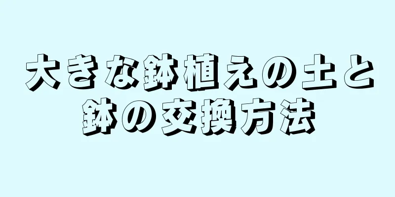 大きな鉢植えの土と鉢の交換方法