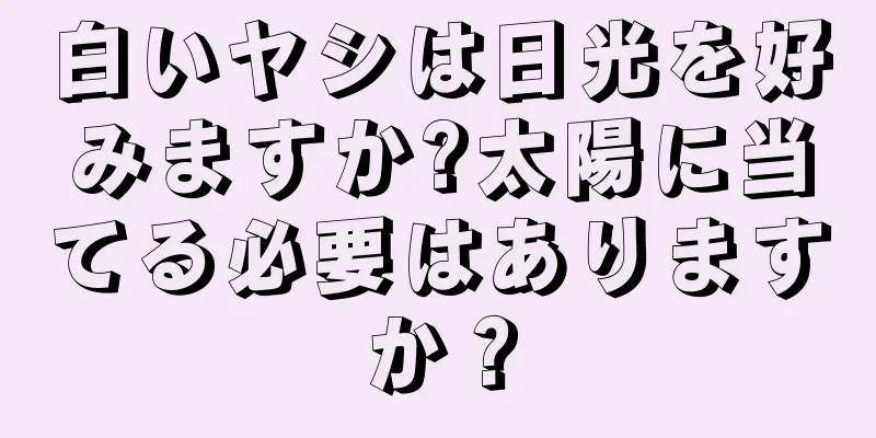 白いヤシは日光を好みますか?太陽に当てる必要はありますか？
