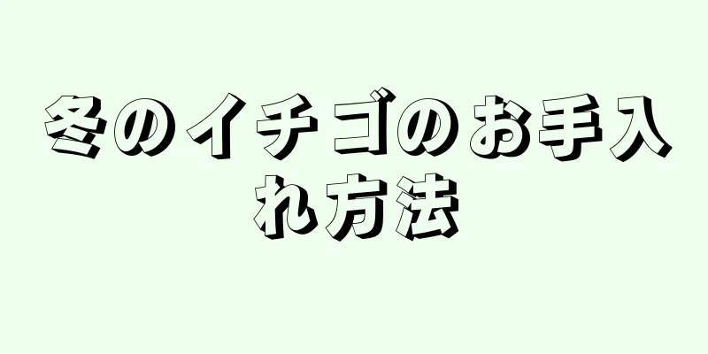 冬のイチゴのお手入れ方法