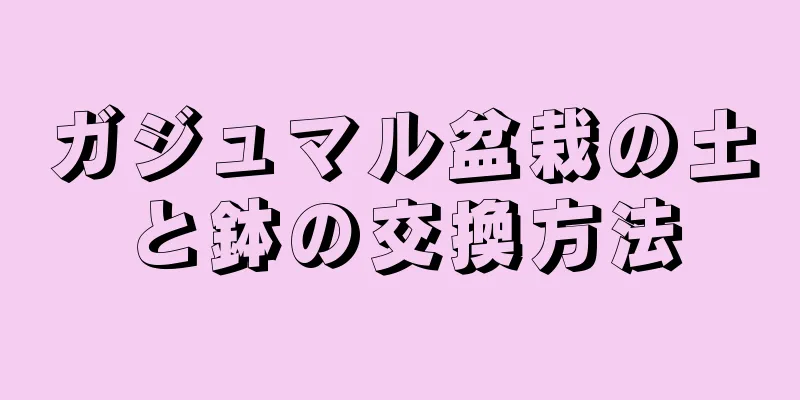 ガジュマル盆栽の土と鉢の交換方法