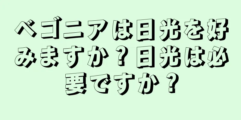 ベゴニアは日光を好みますか？日光は必要ですか？