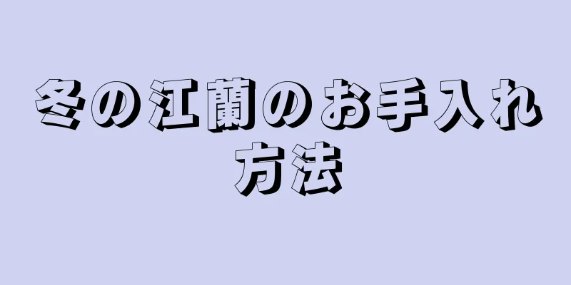 冬の江蘭のお手入れ方法