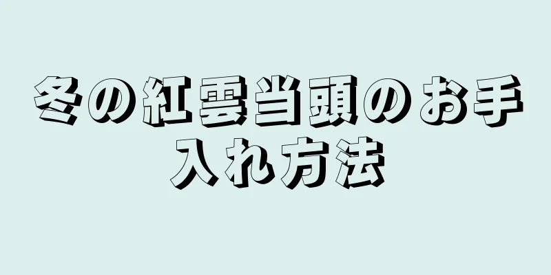 冬の紅雲当頭のお手入れ方法