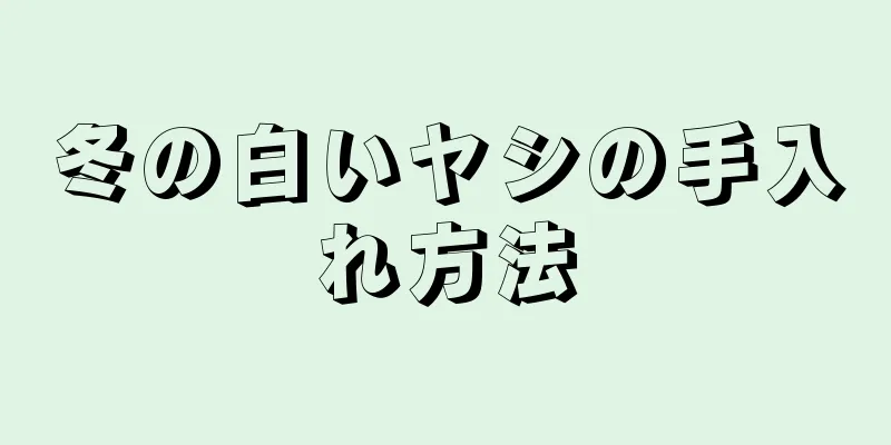 冬の白いヤシの手入れ方法