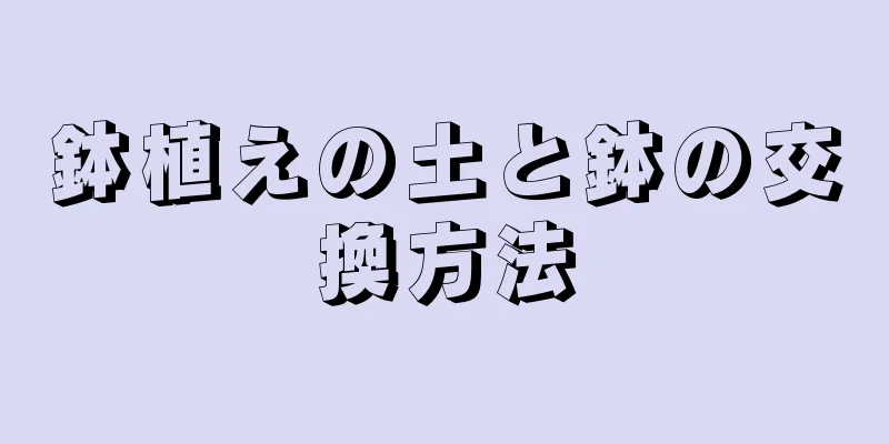 鉢植えの土と鉢の交換方法