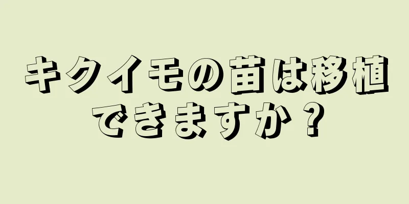 キクイモの苗は移植できますか？