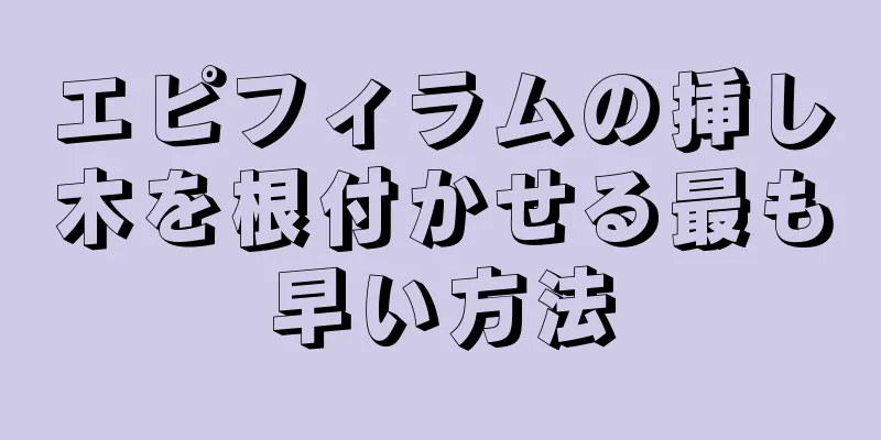 エピフィラムの挿し木を根付かせる最も早い方法