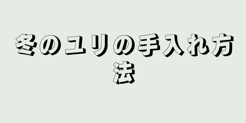 冬のユリの手入れ方法