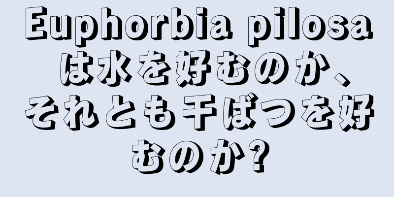 Euphorbia pilosa は水を好むのか、それとも干ばつを好むのか?