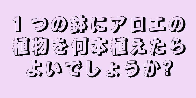 1 つの鉢にアロエの植物を何本植えたらよいでしょうか?